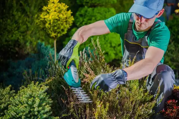landscaping services Gray Summit